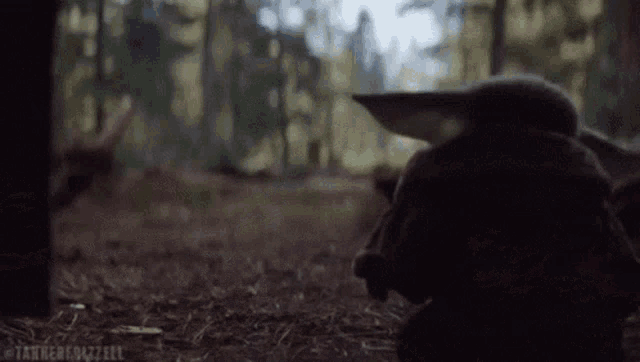 a baby yoda is sitting on the ground in the woods .