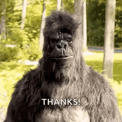 a gorilla in a costume is standing in the woods and saying thanks .