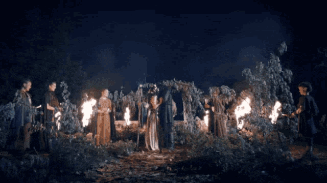 a group of people standing around a fire with a whale flying in the background