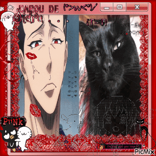 a picture of a man and a black cat with the words barou de written on the top