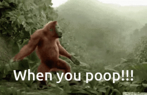 Monkey When You Poop GIF