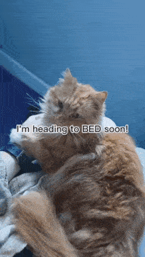 a cat laying on a person 's lap with the caption i 'm heading to bed soon