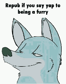 a cartoon of a wolf laughing with the words repub if you say yap to being a furry underneath it