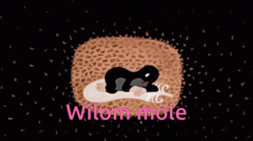 Wilom Wilso GIF - Wilom Wilso Mole GIFs