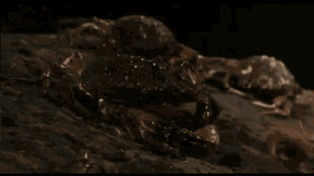 a woman is laying on the ground with a crab crawling on her face .