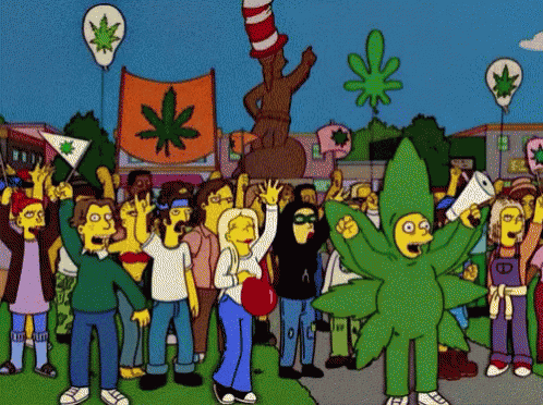 a crowd of people are gathered in a cartoon scene with a marijuana leaf on a flag