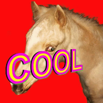 Horse Cool GIF - Horse Cool GIFs