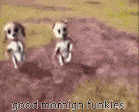 Funky Cat Gc Good Morning GIF - Funky Cat Gc Good Morning Gm GIFs