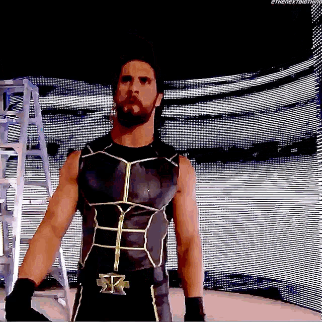 Seth Rollins Wwe Champion GIF - Seth Rollins Wwe Champion Entrance GIFs