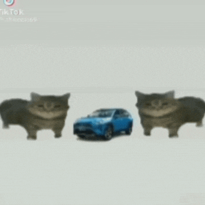 two cats are standing next to a blue toy car that says toyota