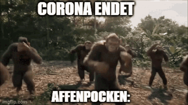 a group of chimpanzees are running in the woods with the caption corona endet affenpocken