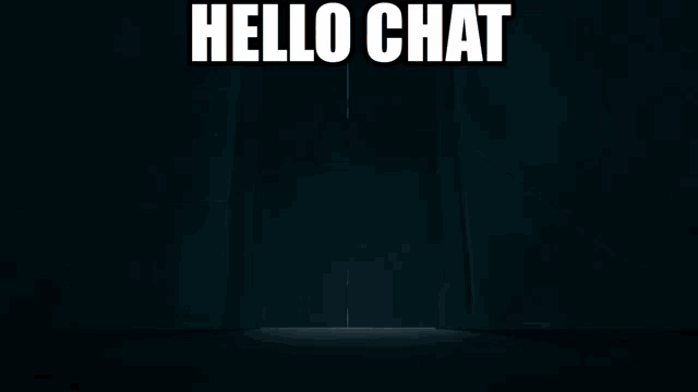 a video game character is standing in a dark hallway with the words hello chat written above her