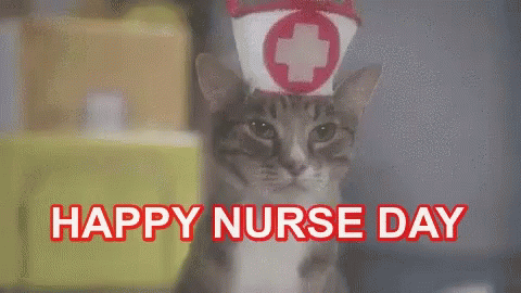 Happy Nurse Day Funny Animal GIF - Happy Nurse Day Nurse Day Happy Nurse GIFs