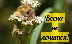 a hamster is sitting on top of a flower with a yellow sign in the background that says `` весна не лечится '' .