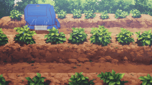 a row of plants in a field with a blue object in the middle