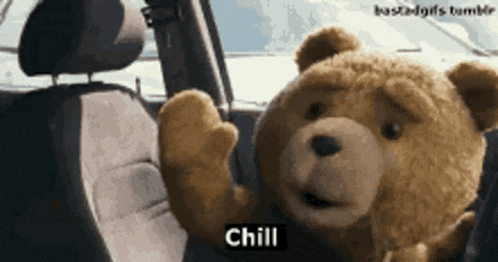 a teddy bear in a car says chill