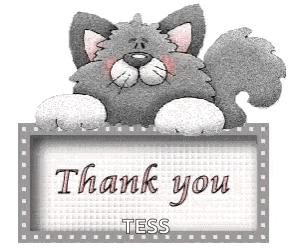 a cat is holding a sign that says " thank you tess "