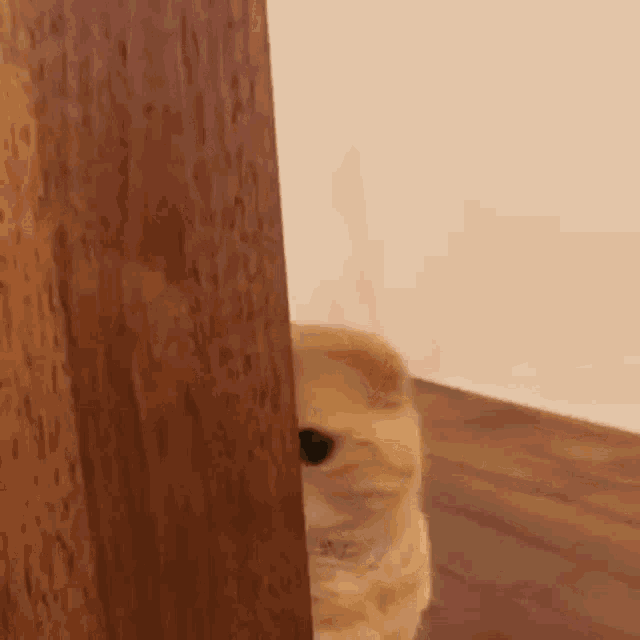 Hey There Cute GIF - Hey There Cute Hide GIFs