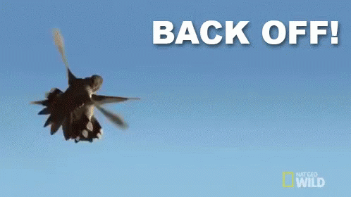 Back Off! GIF - Nat Geo Back Off Humming Bird GIFs