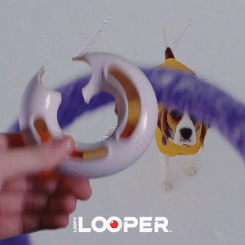 Loopy Looper Loopyloopers GIF - Loopy Looper Loopyloopers Intheloop GIFs