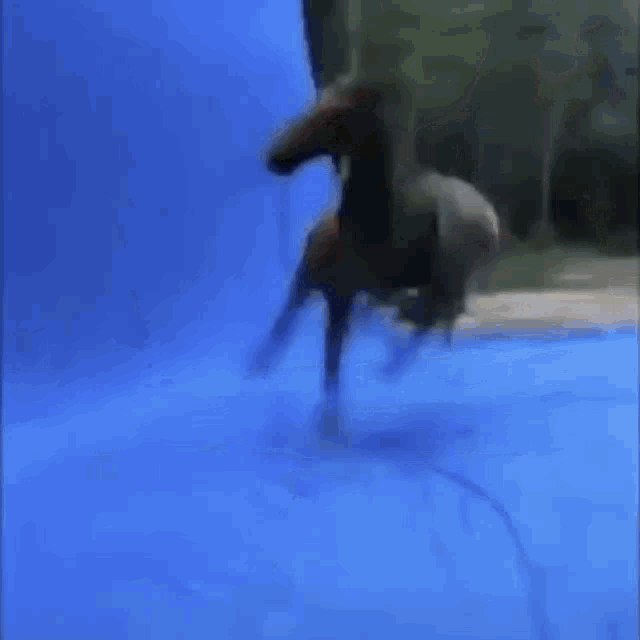 a blurry picture of a person 's feet on a blue tarp .