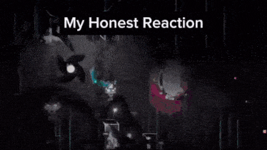 a screenshot of a video game with the words " my honest reaction " above it