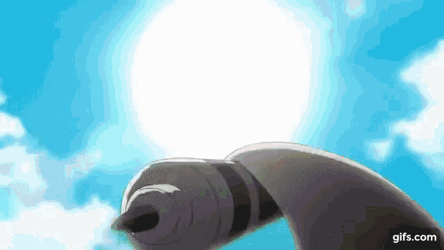 a seal is swimming in the water with the sun shining through it .