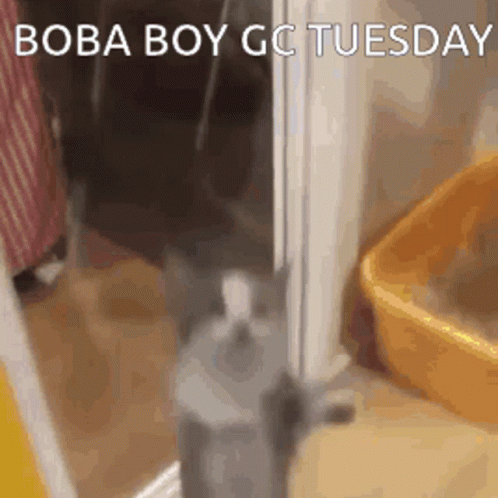 Boba Boy Gc Tuesday GIF - Boba Boy Gc Tuesday GIFs