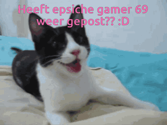 a black and white cat is laying on a bed with the words heeft epische gamer 69 weer gepost written above it