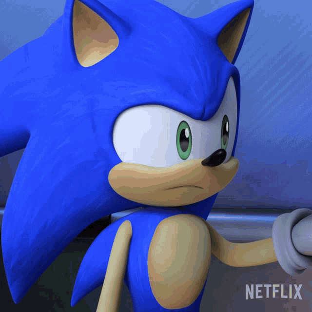 a close up of a sonic the hedgehog with a netflix logo in the corner
