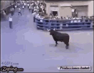 Bull Toro GIF - Bull Toro GIFs