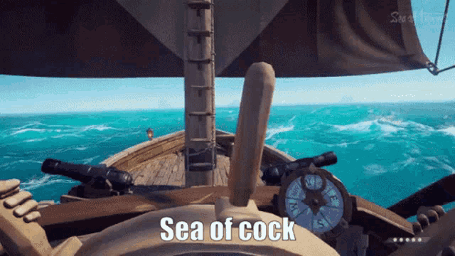 a screenshot of a video game with the words sea of cock at the bottom