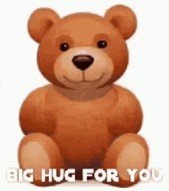a teddy bear with the words `` big hug for you '' written on it .