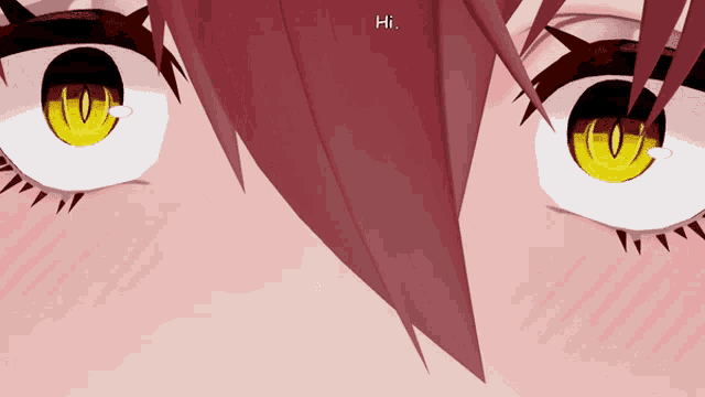 a close up of a girl 's eyes with the words hi visible