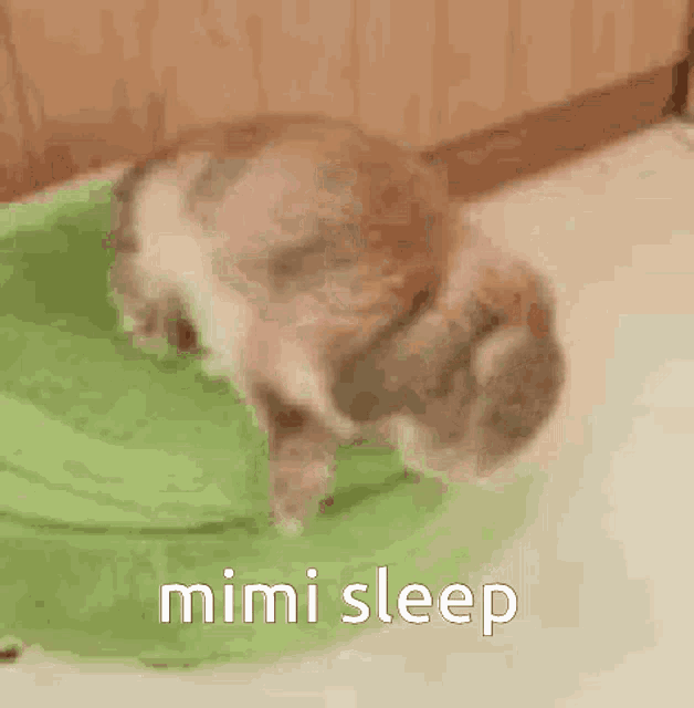 Mimi Mimi Sleep GIF - Mimi Mimi Sleep Miyo GIFs