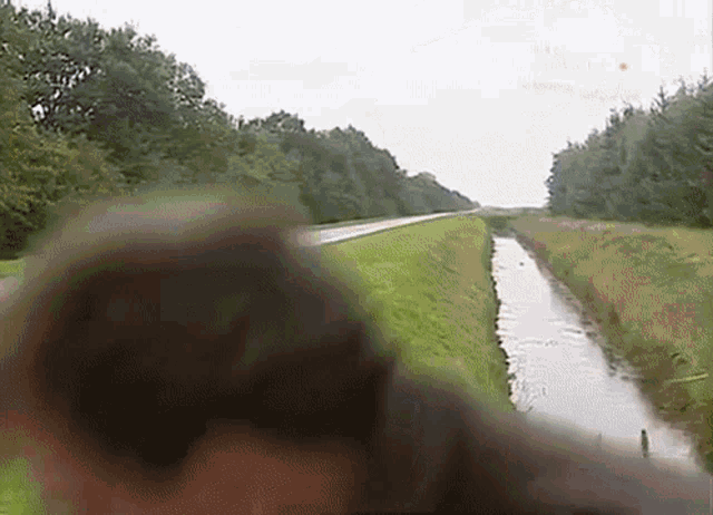 a blurred image of a river surrounded by trees