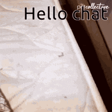 a picture of a cat with the words hello chat written on it