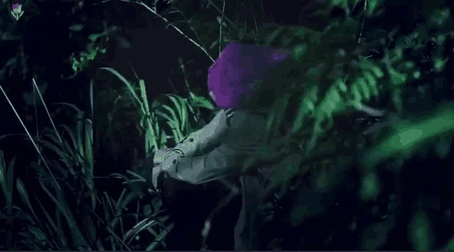 a person in a purple hood is sitting in the woods .