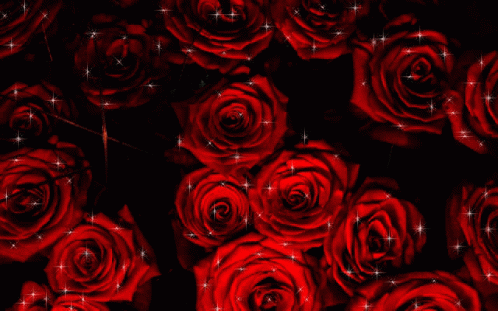 Glittering Roses Rose Garden GIF - Glittering Roses Rose Garden GIFs