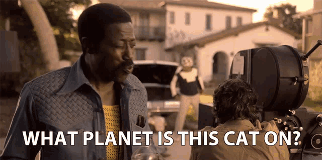 What Planet Is This Cat On Whats Wrong With You GIF - What Planet Is This Cat On Whats Wrong With You Weird GIFs