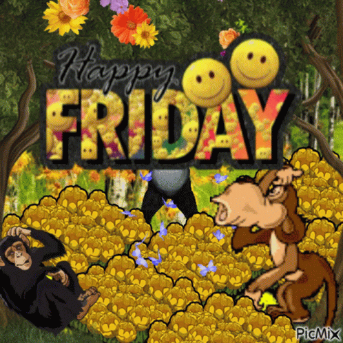 Apes Friday Meme GIF - Apes Friday Meme GIFs