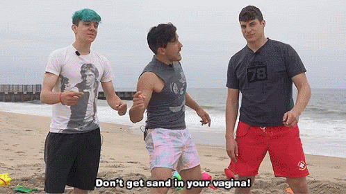 Dont Get Sand In Your Vagina Vagina GIF - Dont Get Sand In Your Vagina Vagina GIFs