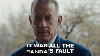 It Was All The Panda'S Fault The Panda Academy GIF - It Was All The Panda'S Fault The Panda Academy The Panda GIFs