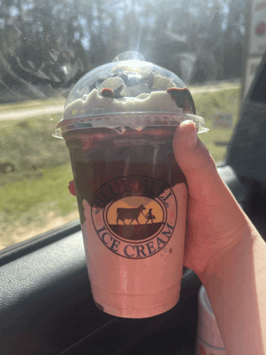 a person is holding a cup of ice cream in their hand