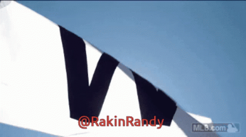 Rakin Randy GIF - Rakin Randy GIFs