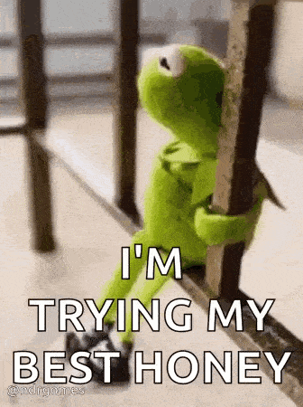 kermit the frog is leaning against a railing and saying `` i 'm trying my best honey ''
