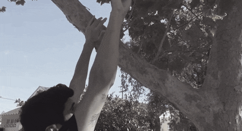 a person is hanging from a tree branch with their hands