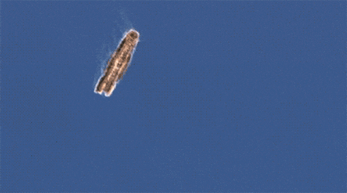 a blurred image of a plane flying through the sky