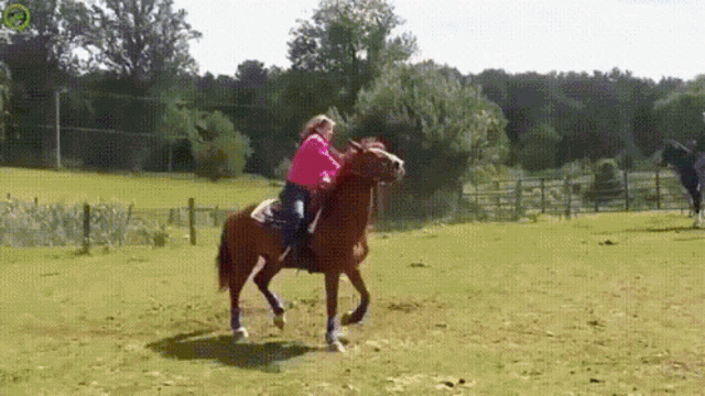 a woman in a pink jacket is riding a horse in a field .