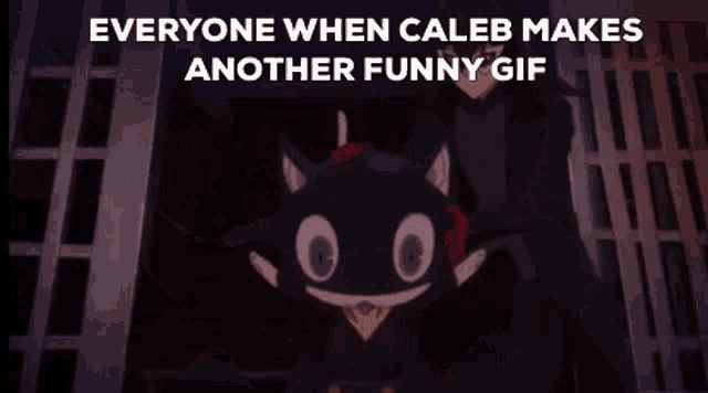 a cat with a mask on is making a funny face .